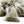 Load image into Gallery viewer, Japan Sencha Green Tea Pyramid Teabags