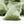 Load image into Gallery viewer, Peppermint Herbal Tea Pyramid Teabags