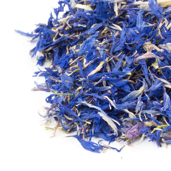 Blue Cornflower Petals