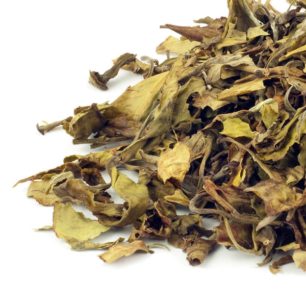Kenya Tinderet White Tea