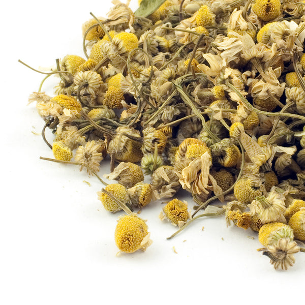 Egyptian Camomile Flowers