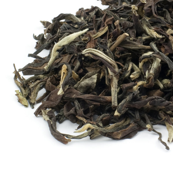 White Tip Oolong Tea