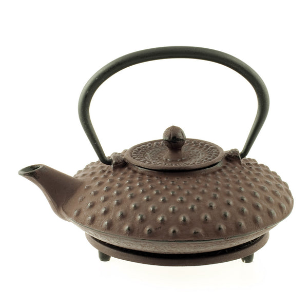 Tetsubin Teapot - Shimizu - Natural