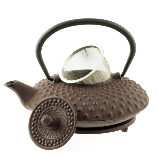 Tetsubin Teapot - Shimizu - Natural
